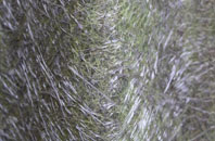 Parkham Ash fibreglass roof work